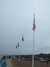 DSCF3712.JPG