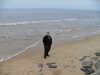 20090412100254-SDC10779.JPG