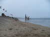 20090412100550-SDC10780.JPG