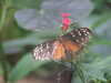 20090413103859-DSCF3736.JPG