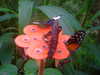 20090413104112-DSCF3741.JPG