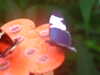 20090413104124-DSCF3742.JPG