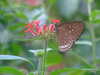 20090413104154-DSCF3744.JPG