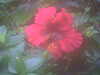 20090413104653-DSCF3767.JPG