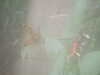 20090413105042-DSCF3776.JPG