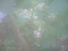 20090413105353-DSCF3780.JPG