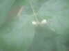 20090413105536-DSCF3784.JPG