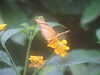 20090413110135-DSCF3794.JPG