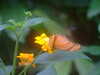 20090413110146-DSCF3795.JPG