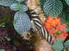 20090413110258-DSCF3801.JPG