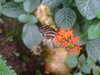20090413110306-DSCF3802.JPG