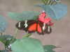 20090413110342-DSCF3806.JPG