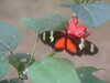 20090413110350-DSCF3807.JPG