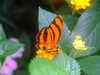20090413110443-DSCF3812.JPG