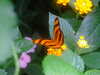 20090413110447-DSCF3813.JPG