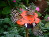 20090413110724-DSCF3817.JPG