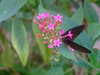 20090413110822-DSCF3823.JPG