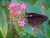 20090413110835-DSCF3825.JPG