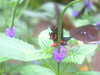 20090413110916-DSCF3829.JPG