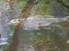20090413111024-DSCF3834.JPG