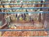 20090413111350-DSCF3845.JPG