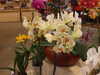 20090413112309-DSCF3854.JPG
