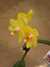 20090413112316-DSCF3855.JPG