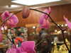 20090413112340-DSCF3859.JPG