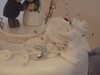 20090523162335-DSCF3917.JPG