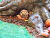 20090613143656-DSCF3940.JPG