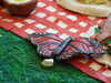 20090613143734-DSCF3943.JPG