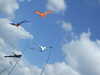 20090614100915-DSCF3959.JPG
