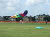20090614100940-DSCF3961.JPG