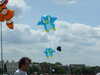 20090614121832-DSCF3985.JPG