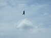 20090628143816-DSCF4019.JPG