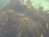 PICT0003.JPG