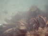 PICT0004.JPG