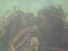 PICT0005.JPG