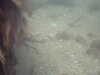 PICT0007.JPG
