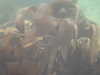 PICT0008.JPG