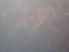 PICT0009.JPG
