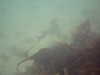 PICT0010.JPG