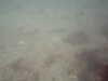 PICT0011.JPG