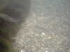 PICT0013.JPG