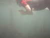 PICT0014.JPG