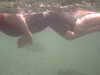 PICT0015.JPG