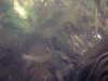 PICT0016.JPG
