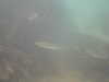 PICT0019.JPG