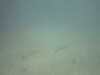 PICT0020.JPG