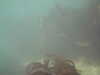 PICT0022.JPG